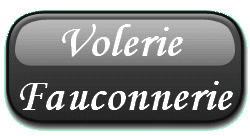 volerie / fauconnerie