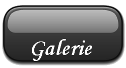 galerie